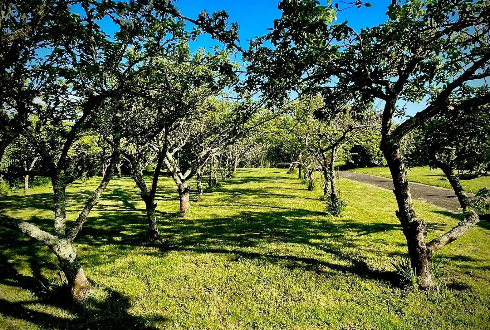 Plouézec Le Bercail Bed & Breakfast